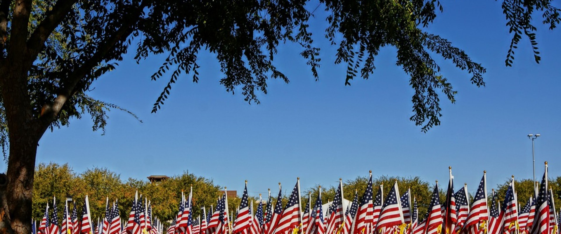 Comprehensive Guide to Choosing the Best Murrieta Movers